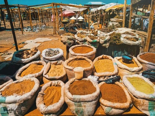 Uma Jornada Global de Sabores: A Evolução Mundial dos Temperos