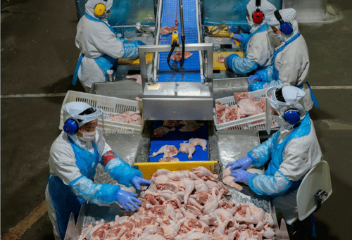 Brasil não tem capacidade de armazenar carne de frango excedente